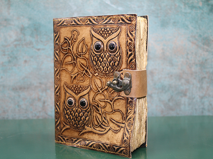 Baykuşlu Deri Defter Model 1