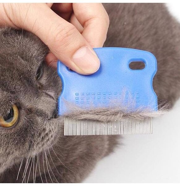 Kedi Köpek Pire Tarağı