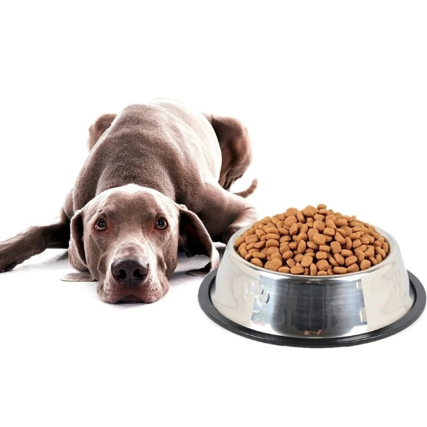 Paslanmaz Çelik Metal Mama Kabı 30 cm.