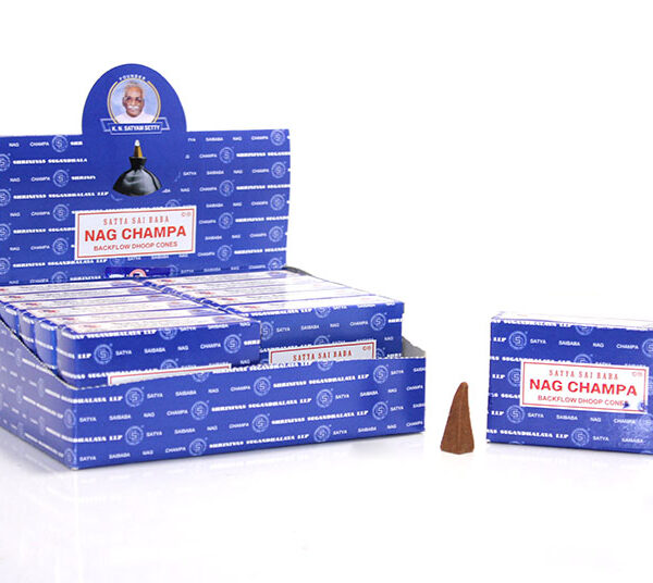 Satya Nagchampa Aromalı Geri Akış Tütsü
