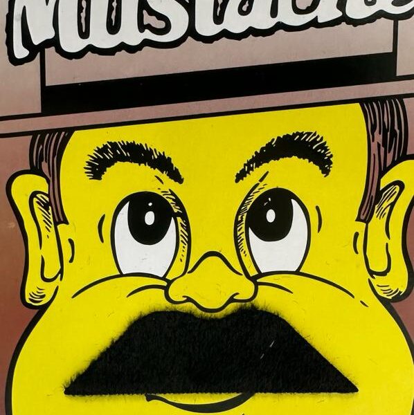 Siyah Renk Yapışkanlı Korsan Bıyık